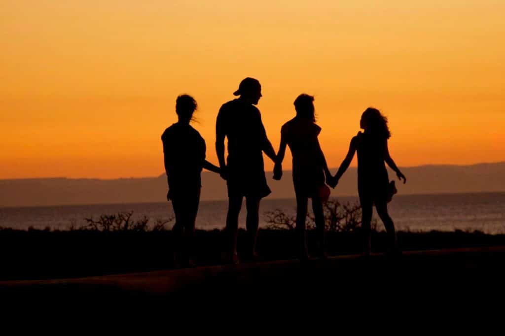 silhouette of man standing beside shore under brown sky during daytime with two partners and a meta.